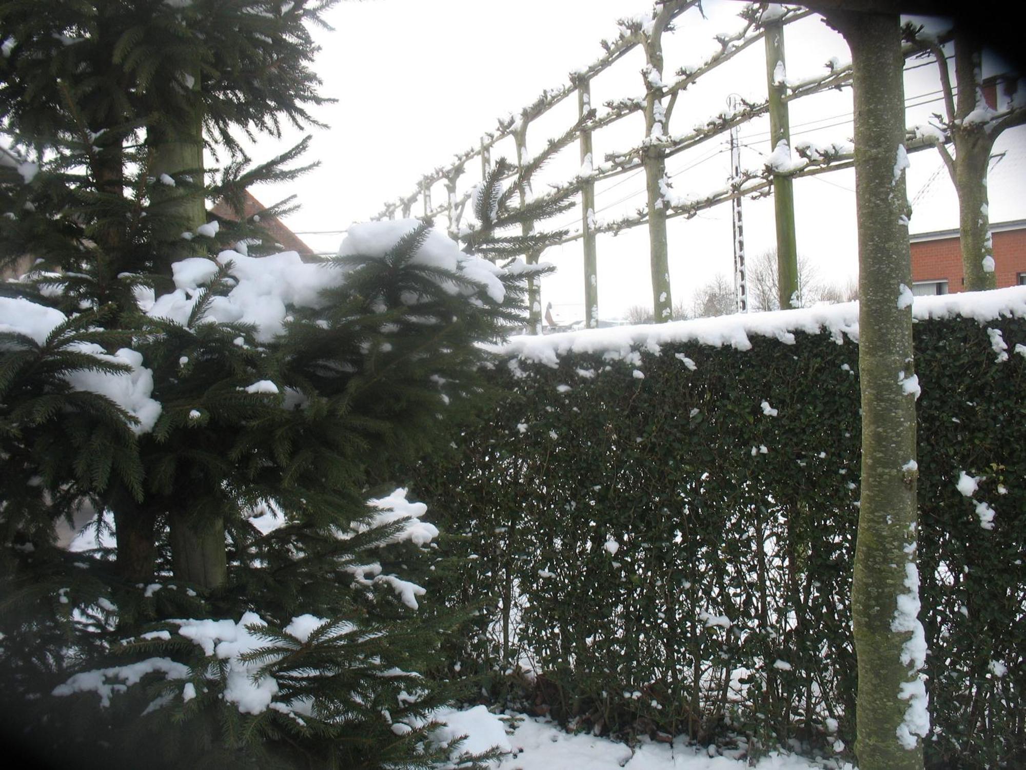 B&B Greenhouse 37 Langemark Екстер'єр фото