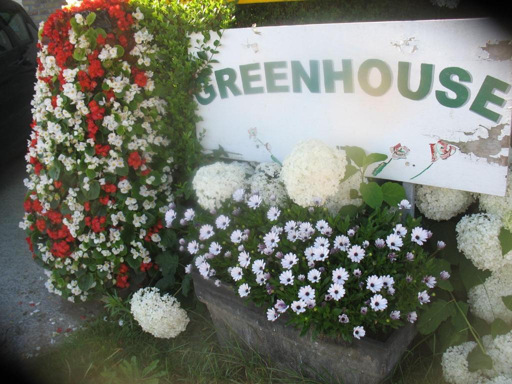 B&B Greenhouse 37 Langemark Екстер'єр фото